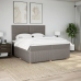 Cama box spring con colchón tela gris taupe 200x200 cm