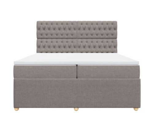 Cama box spring con colchón tela gris taupe 200x200 cm