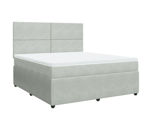 Cama box spring con colchón terciopelo gris claro 180x200 cm