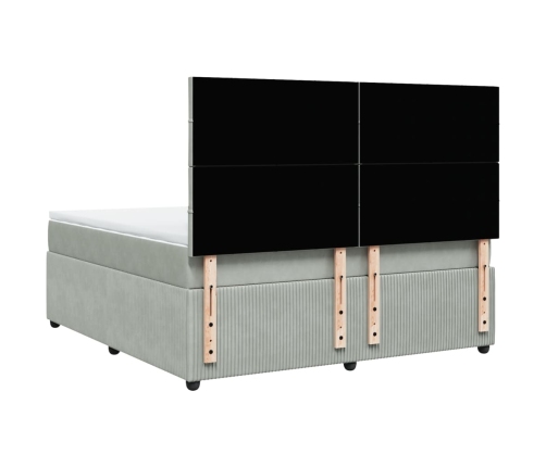 Cama box spring con colchón terciopelo gris claro 180x200 cm