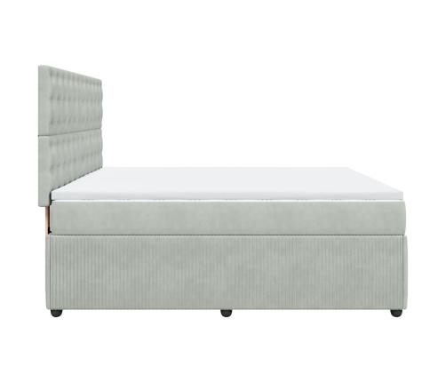 Cama box spring con colchón terciopelo gris claro 180x200 cm