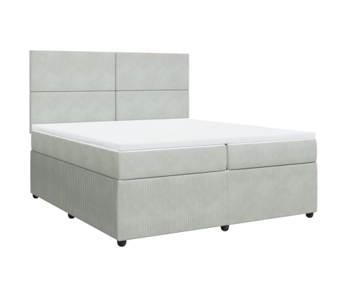 Cama box spring con colchón terciopelo gris claro 200x200 cm