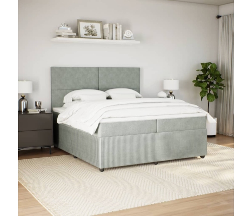 Cama box spring con colchón terciopelo gris claro 200x200 cm