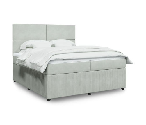 Cama box spring con colchón terciopelo gris claro 200x200 cm