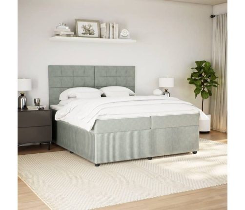 Cama box spring con colchón terciopelo gris claro 200x200 cm