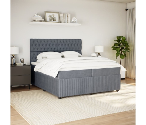 Cama box spring con colchón terciopelo gris oscuro 200x200 cm