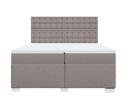 Cama box spring con colchón tela gris taupe 200x200 cm