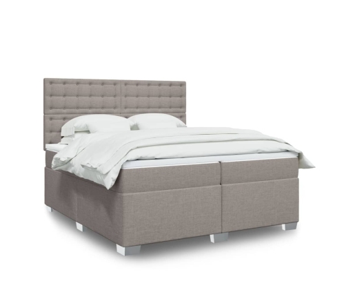 Cama box spring con colchón tela gris taupe 200x200 cm