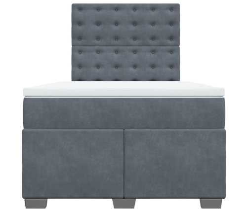 vidaXL Cama box spring con colchón terciopelo gris oscuro 120x190 cm