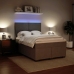 Cama box spring con colchón terciopelo gris claro 140x190 cm