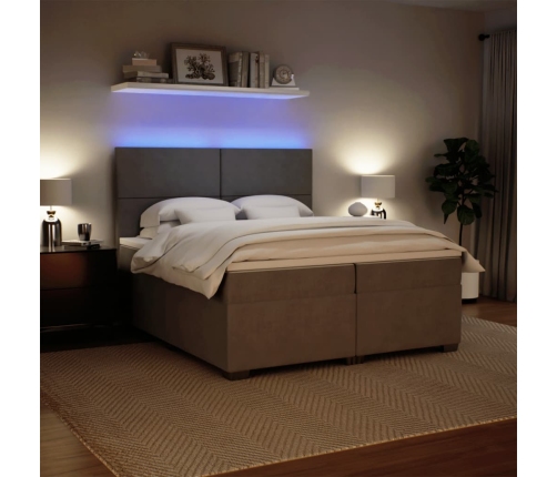 Cama box spring con colchón terciopelo gris claro 200x200 cm