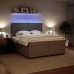 Cama box spring con colchón terciopelo gris claro 200x200 cm