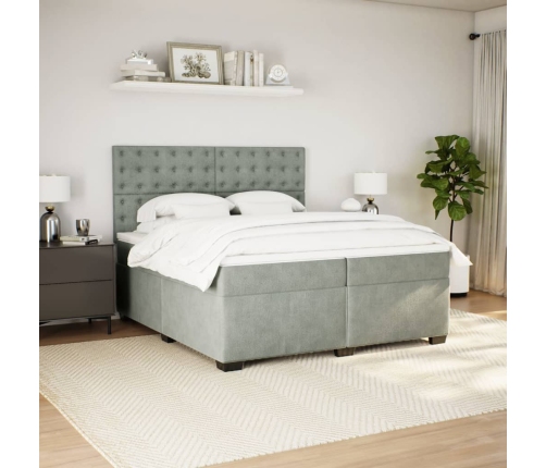 Cama box spring con colchón terciopelo gris claro 200x200 cm