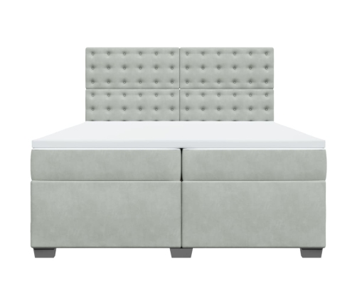 Cama box spring con colchón terciopelo gris claro 200x200 cm