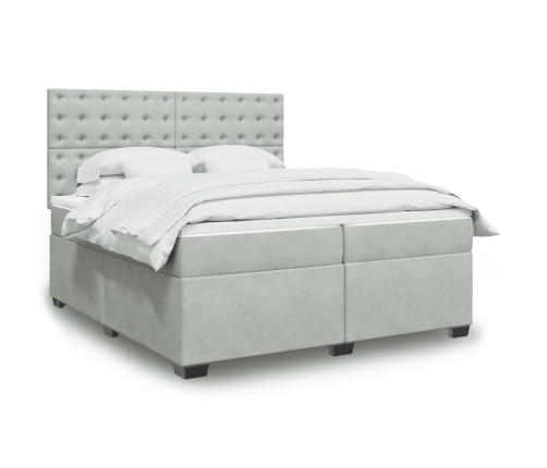 Cama box spring con colchón terciopelo gris claro 200x200 cm