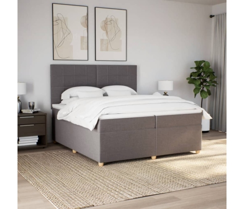 Cama box spring con colchón tela gris taupe 200x200 cm