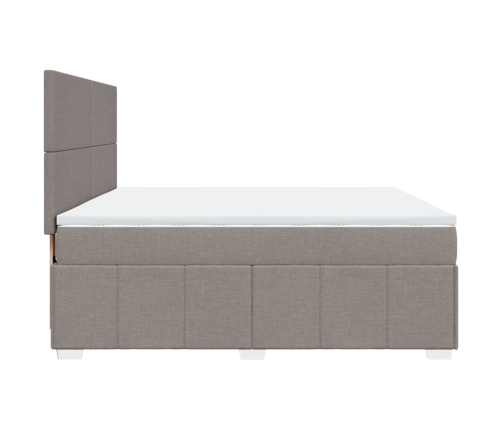 Cama box spring con colchón tela gris taupe 180x200 cm