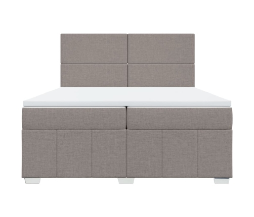 Cama box spring con colchón tela gris taupe 200x200 cm