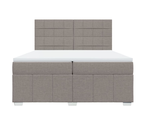 Cama box spring con colchón tela gris taupe 200x200 cm