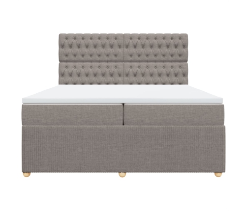 Cama box spring con colchón tela gris taupe 200x200 cm