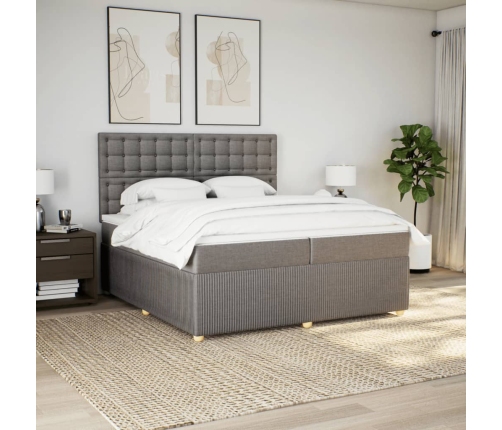 Cama box spring con colchón tela gris taupe 200x200 cm