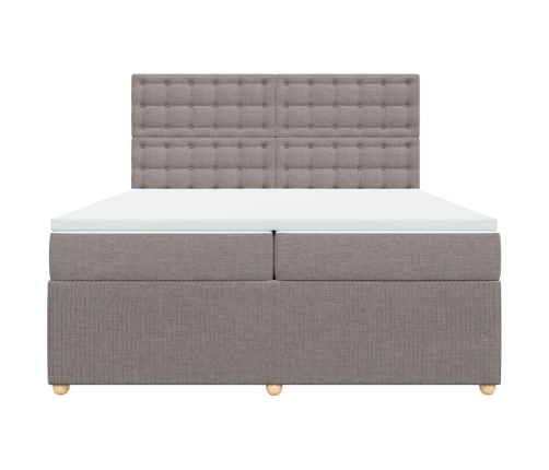 Cama box spring con colchón tela gris taupe 200x200 cm