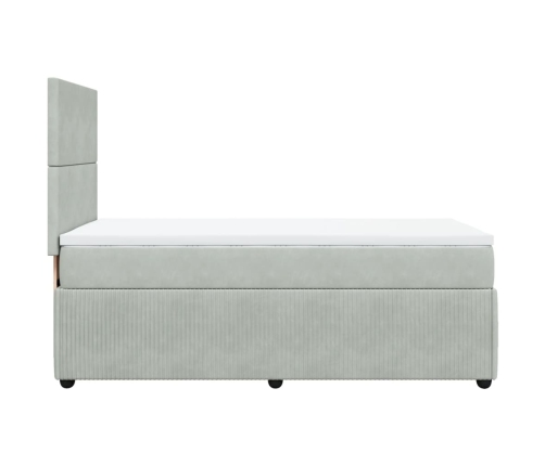 Cama box spring con colchón terciopelo gris claro 80x200 cm