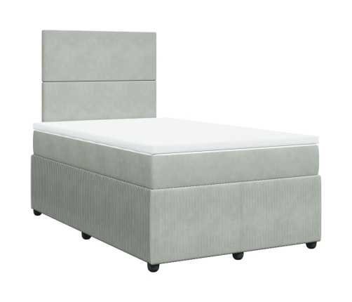 Cama box spring con colchón terciopelo gris claro 120x200 cm