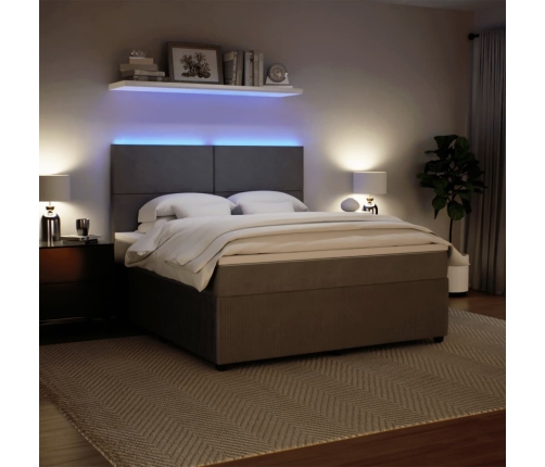 Cama box spring con colchón terciopelo gris claro 180x200 cm