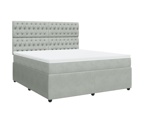 Cama box spring con colchón terciopelo gris claro 180x200 cm