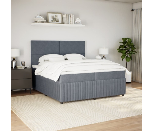 Cama box spring con colchón terciopelo gris oscuro 200x200 cm