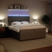 Cama box spring con colchón terciopelo gris claro 200x200 cm