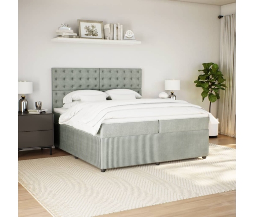 Cama box spring con colchón terciopelo gris claro 200x200 cm