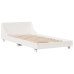 Estructura cama sin colchón madera maciza pino blanca 100x200cm