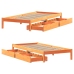 Estructura de cama sin colchón madera maciza marrón 75x190 cm