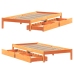 Estructura de cama sin colchón madera maciza marrón 90x190 cm