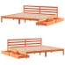 Cama sin colchón madera maciza de pino marrón cera 180x200 cm
