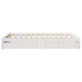 Estructura de cama sin colchón madera maciza blanca 120x190 cm