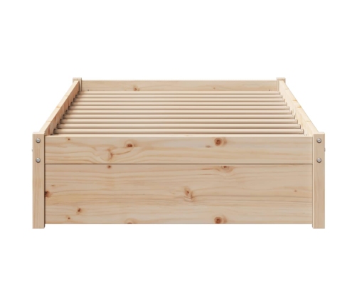 Estructura de cama sin colchón madera maciza de pino 100x200 cm