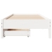 Estructura de cama sin colchón madera maciza blanca 75x190 cm