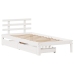 Estructura cama con cajones madera maciza pino blanca 90x190 cm