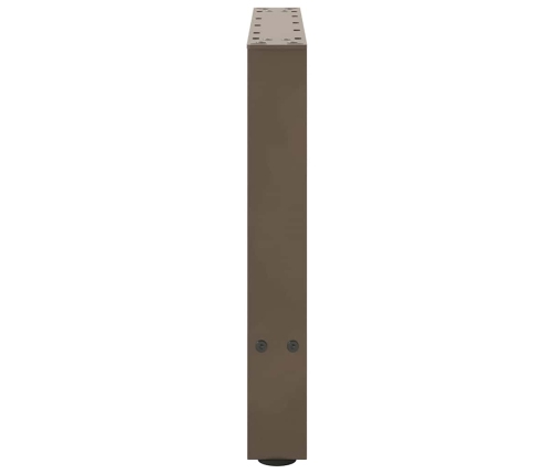 Patas para mesa de centro de acero natural 2 uds 50x(42-43) cm