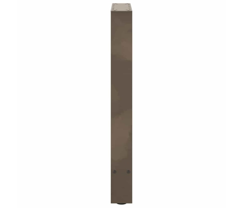 Patas para mesa de centro de acero natural 2 uds 50x(72-73) cm