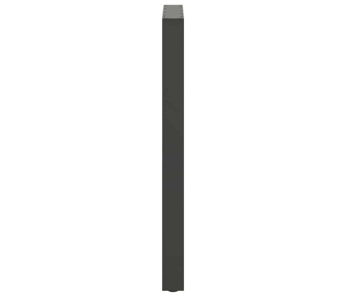 Patas de mesa de centro acero antracita 2 uds 60x(100-101) cm
