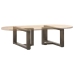 Patas de mesa centro forma T 2uds acero natural 60x25x(30-31)cm