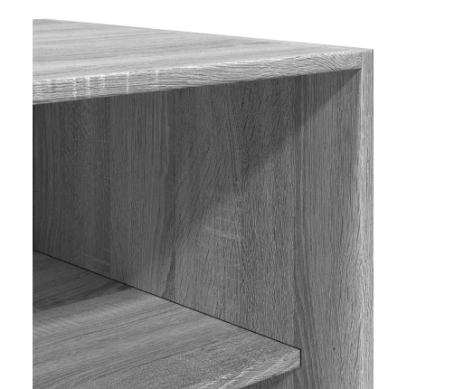 Armario de madera contrachapada gris Sonoma 100x50x200 cm