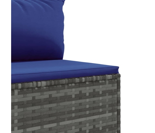 Set de sofás de jardín y cojines 10 pzas ratán sintético gris