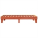 Cama sin colchón madera maciza de pino marrón cera 100x200 cm