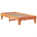 Cama sin colchón madera maciza de pino marrón cera 100x200 cm