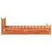 Cama sin colchón madera maciza de pino marrón cera 100x200 cm